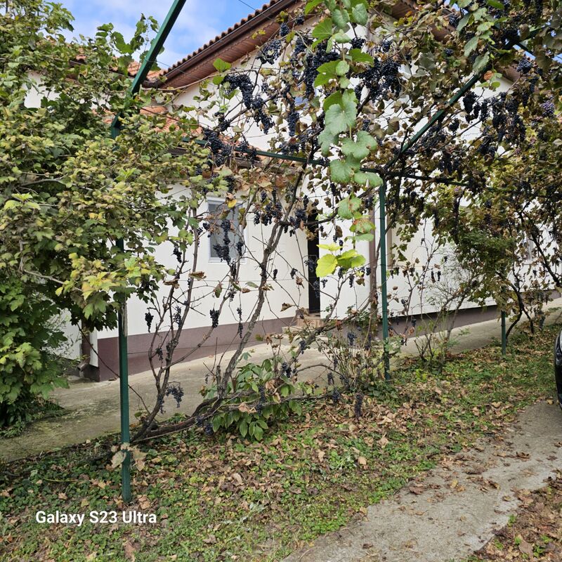 Bosneagu, jud. Calarasi,